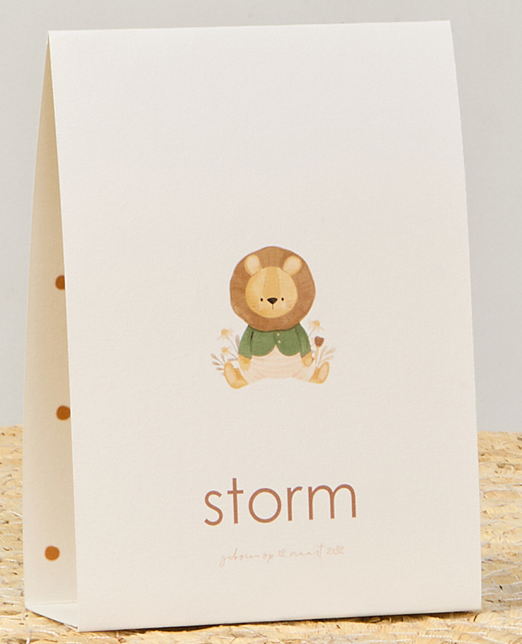 Geboortekaartje met leeuwtje in tentvorm