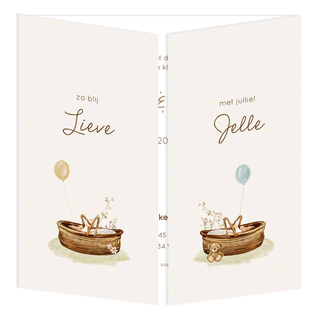 Getekend tweeluik geboortekaartje tweeling mandjes ballonnen