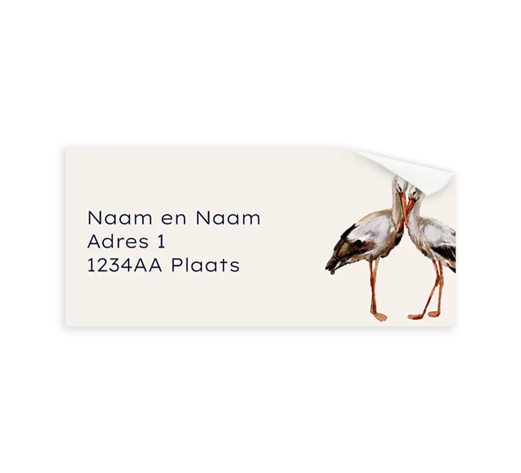 Beige adressticker met ooievaars