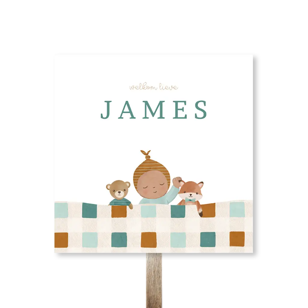 Tuinbord met jongen en knuffels