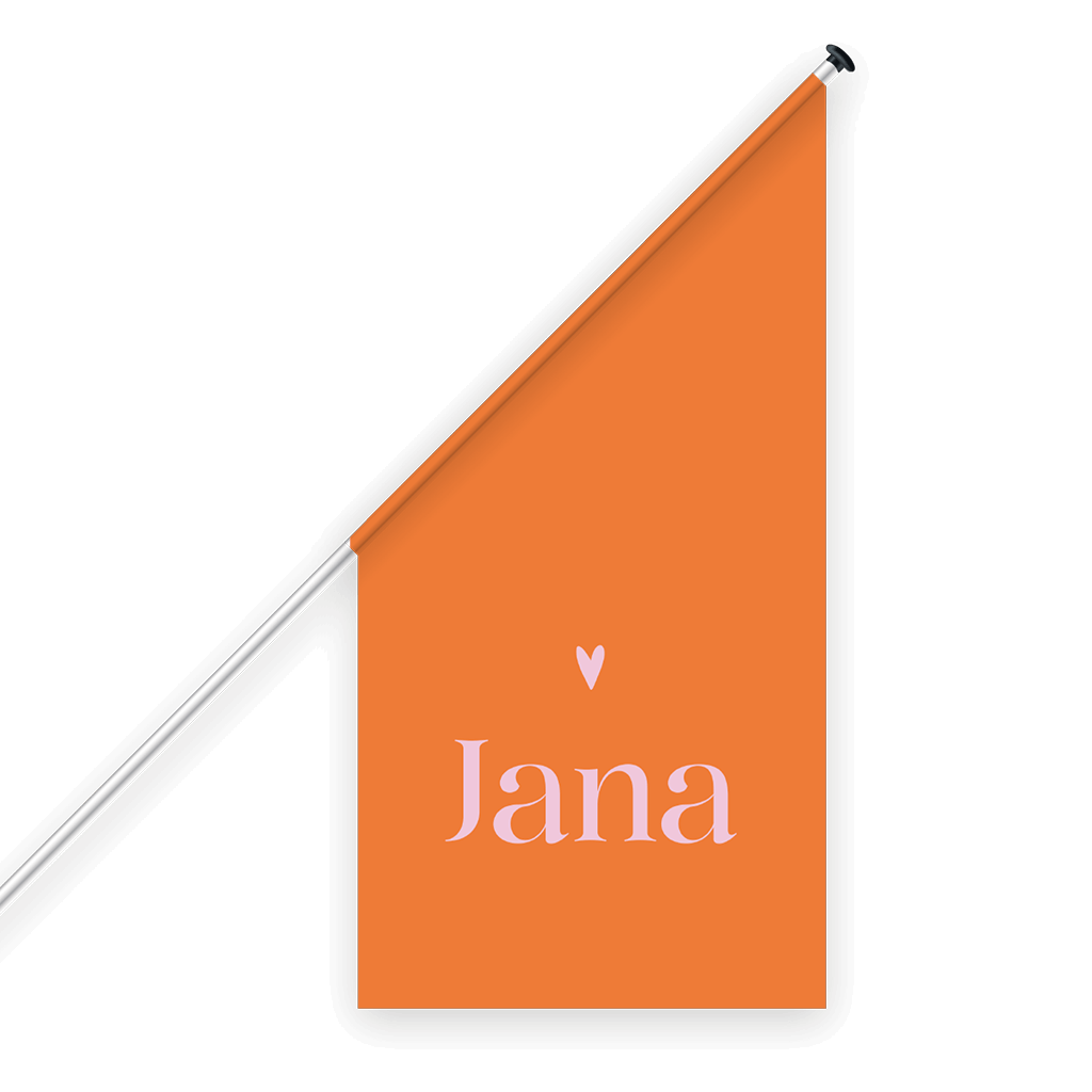 Geburtsflagge in colorblocking in rosa und orange