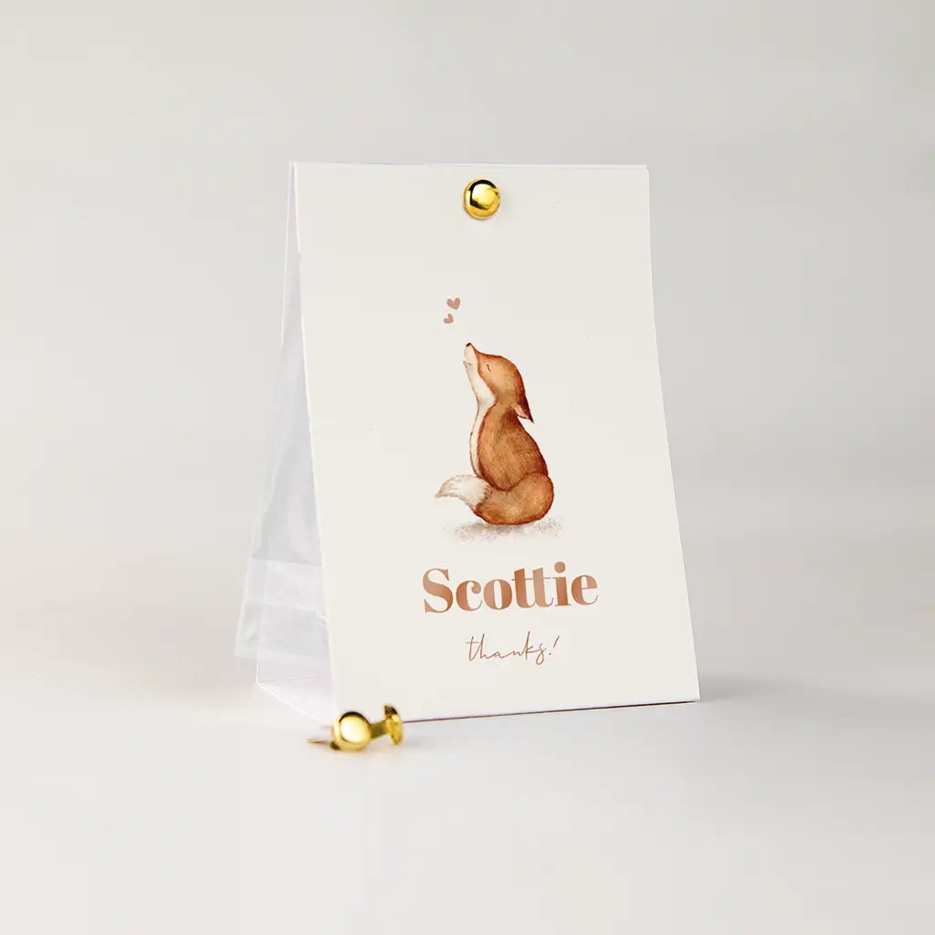 Doopsuiker-snoepzakje met illustratie vosje