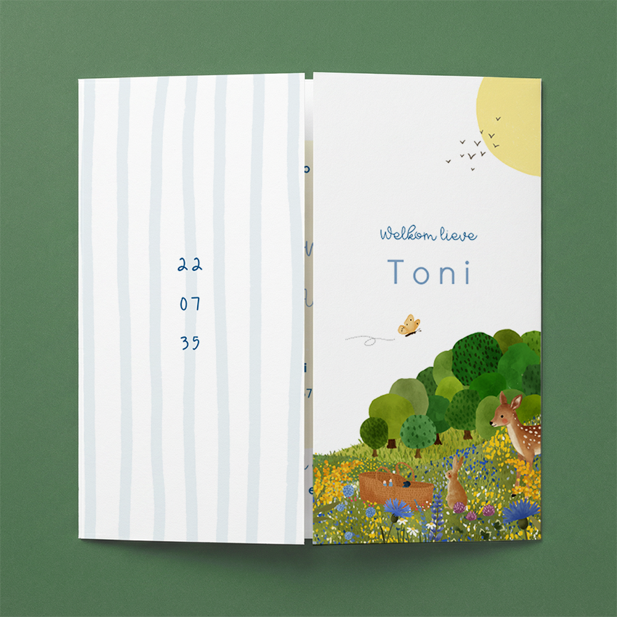 Luikkaartje met landschap en een mandje met een baby erin