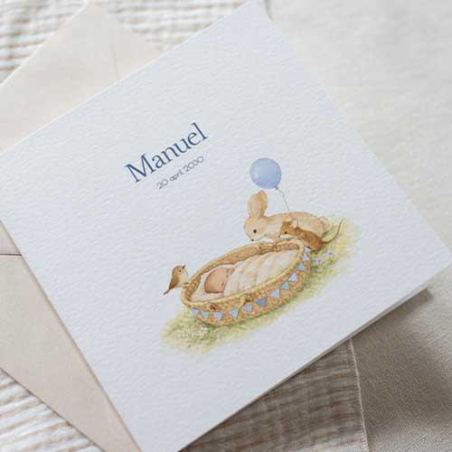 Geboortekaartje jongen mozesmandje bosdiertjes