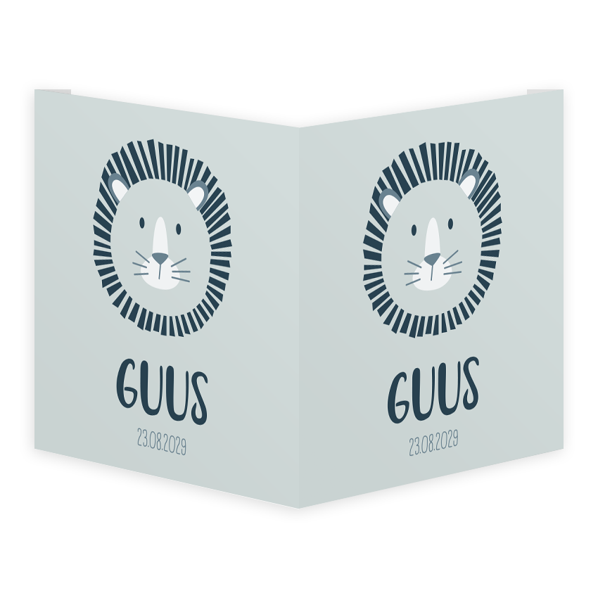 Raambord vierkant dubbel 50x50 cm | Cartoon leeuw met manen