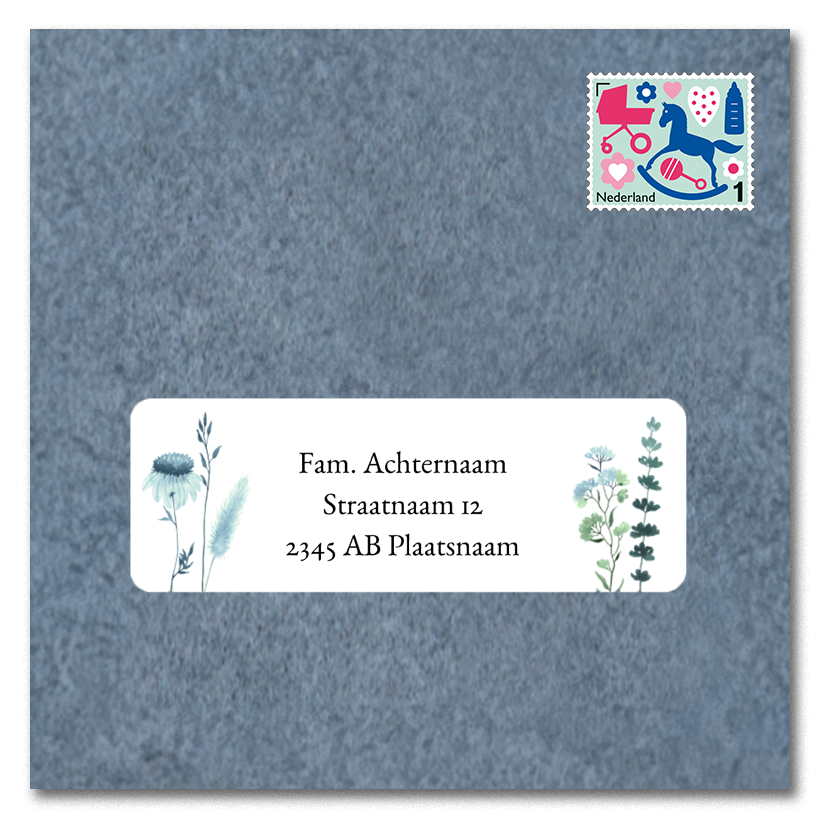 Adressticker met blauwe en groene droogbloemen
