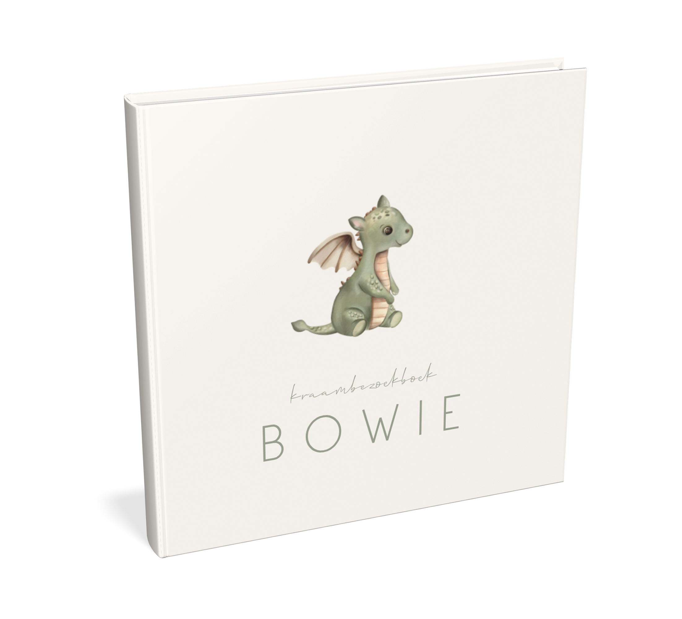 Schattig kraambezoekboek met baby draakje
