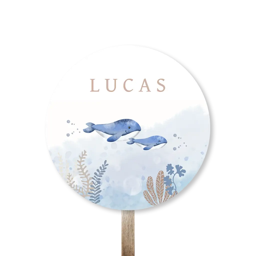 Stoer tuinbord met walvissen in onderwaterwereld