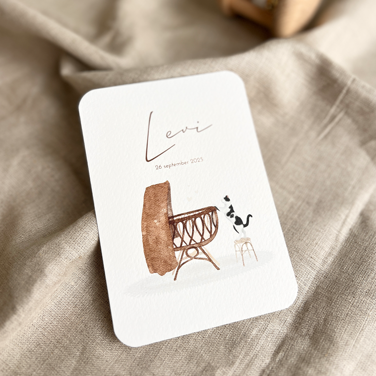 Geboortekaartje Jongen Waterverf Wieg Poes