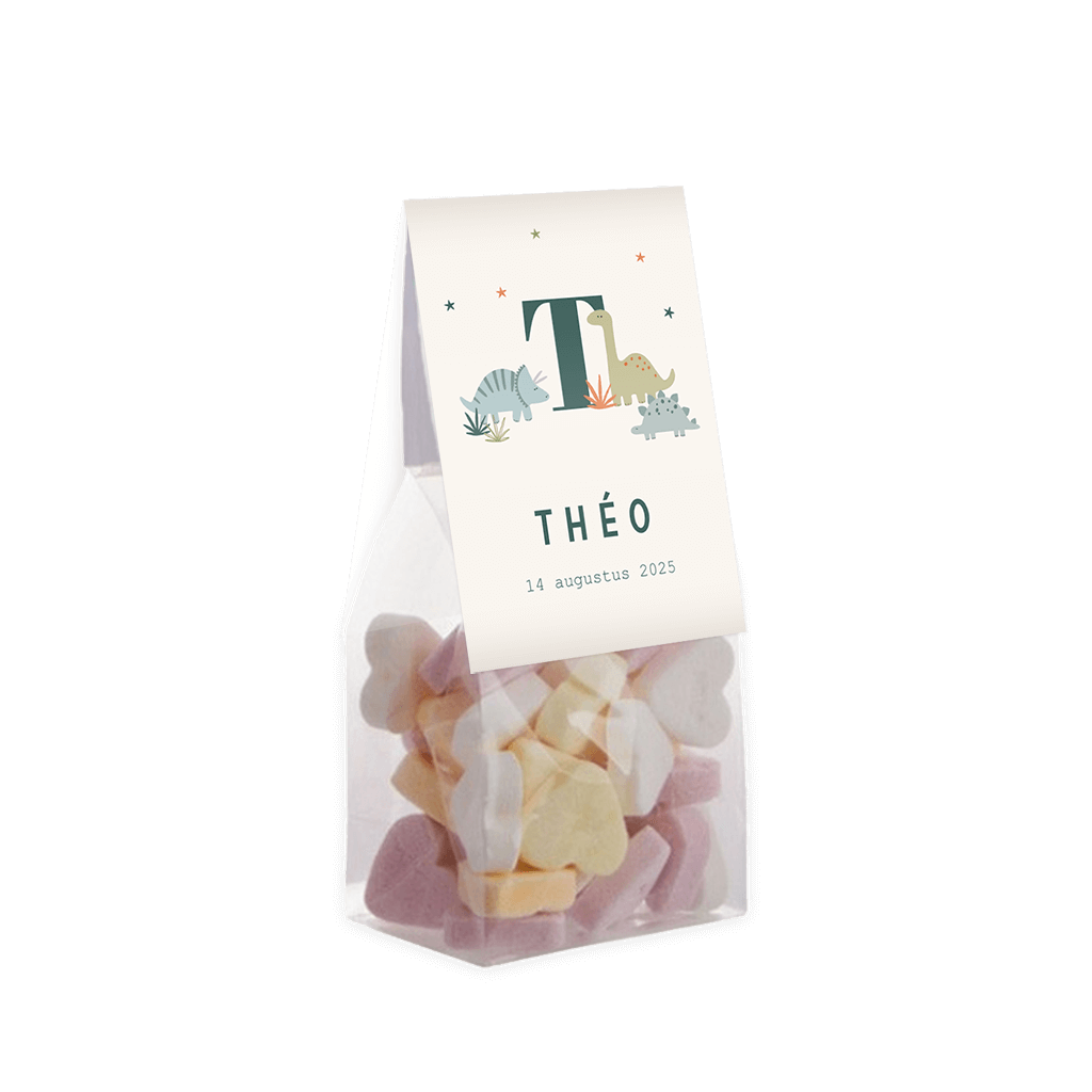 Vouwkaartje voor doopsuiker zakjes met dino's