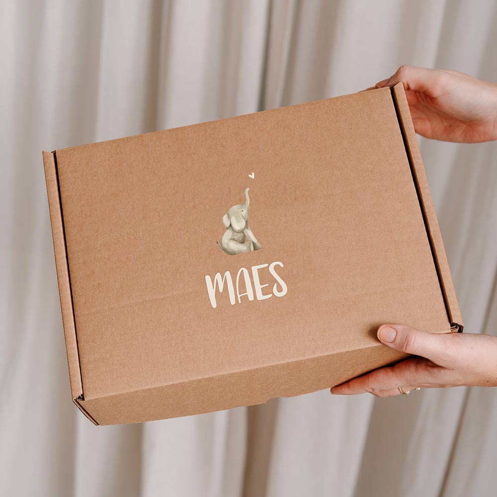 Cadeaudoos met naam en olifantje