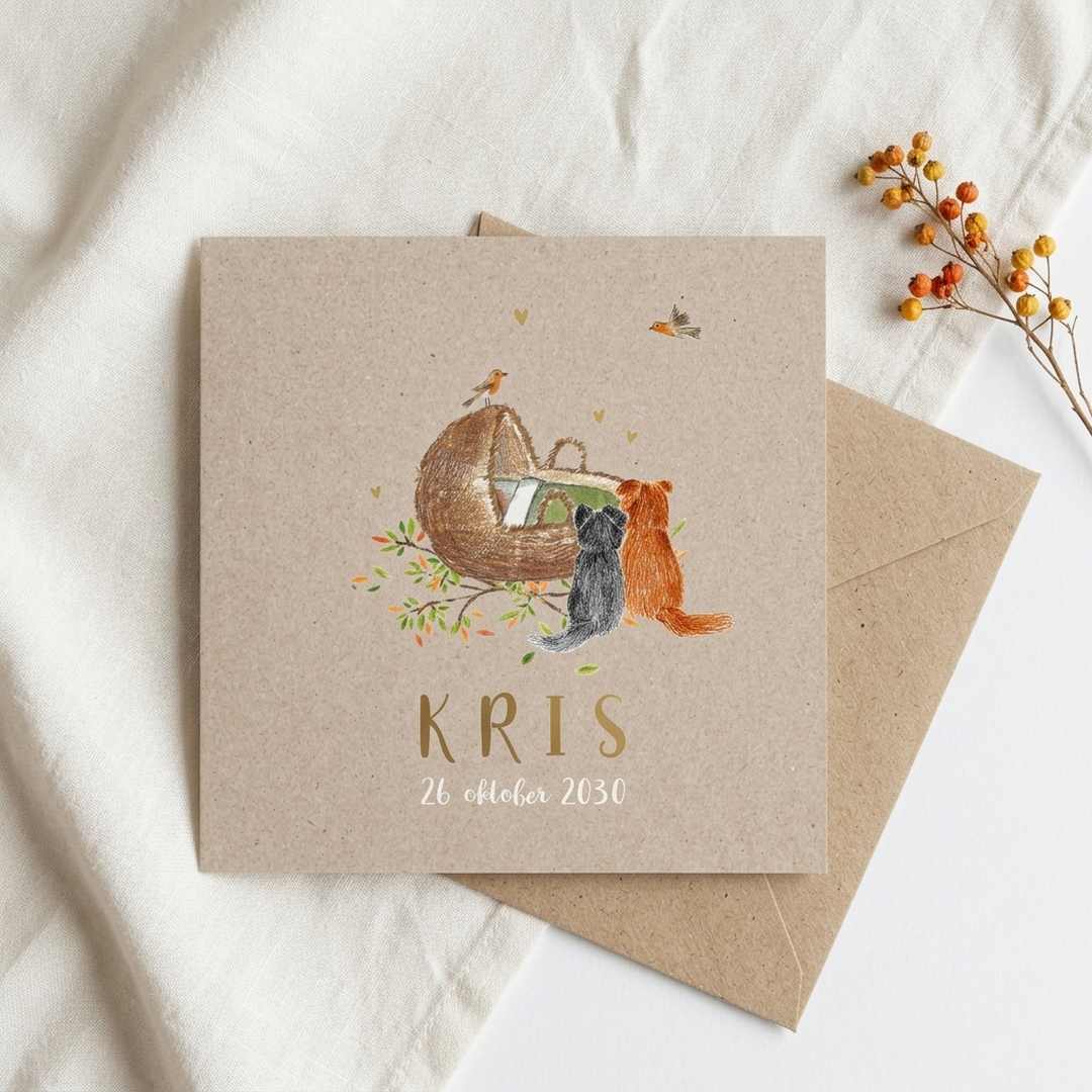 Geboortekaartje met wiegje, hondjes en roodborstje op kraft