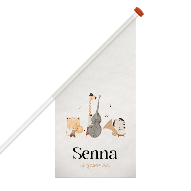 Vrolijke geboortevlag met muziek en dieren