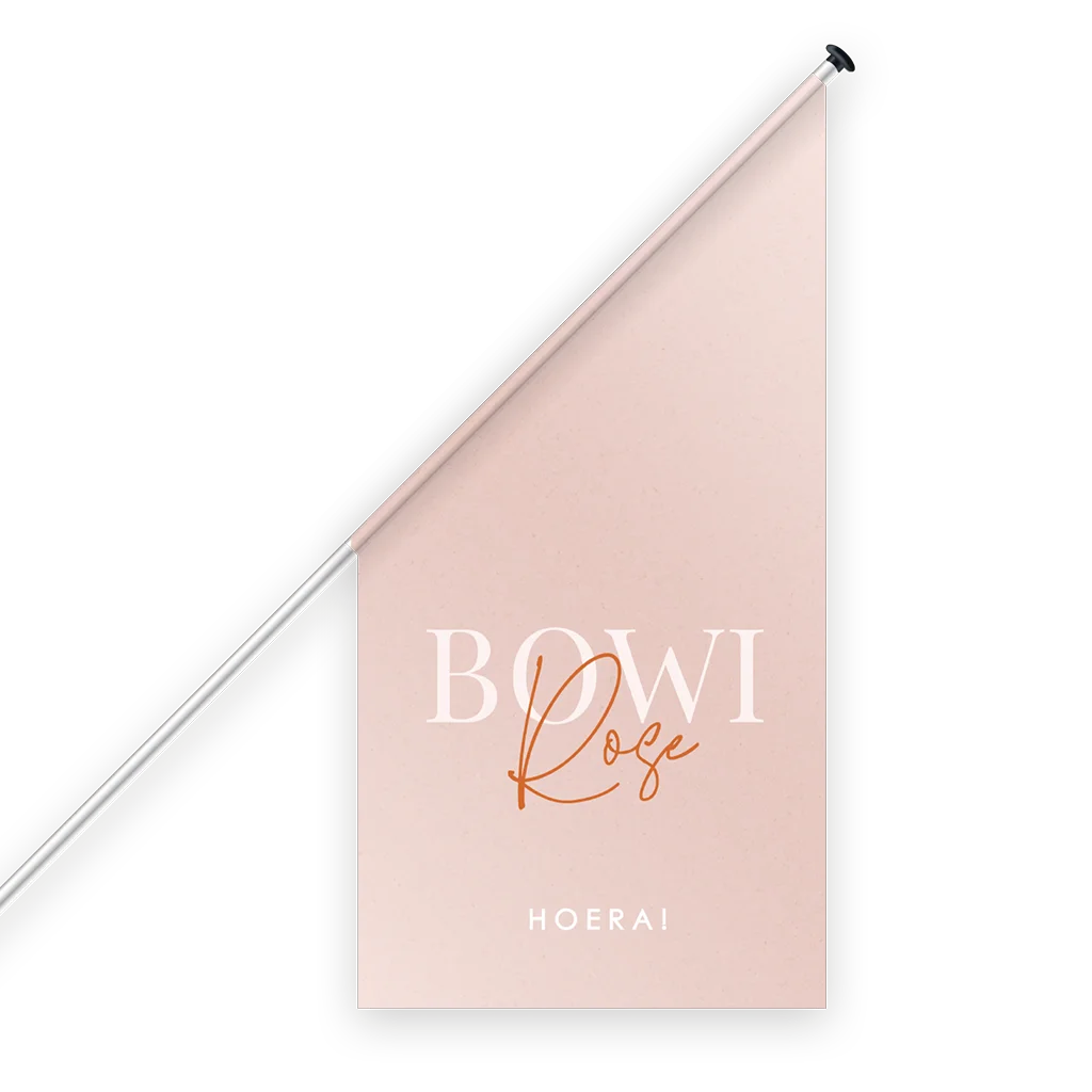 Stijlvolle geboortevlag met naam