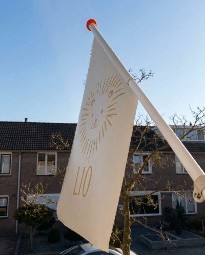 Geboortevlag met goudkleurig illustratie leeuwtje