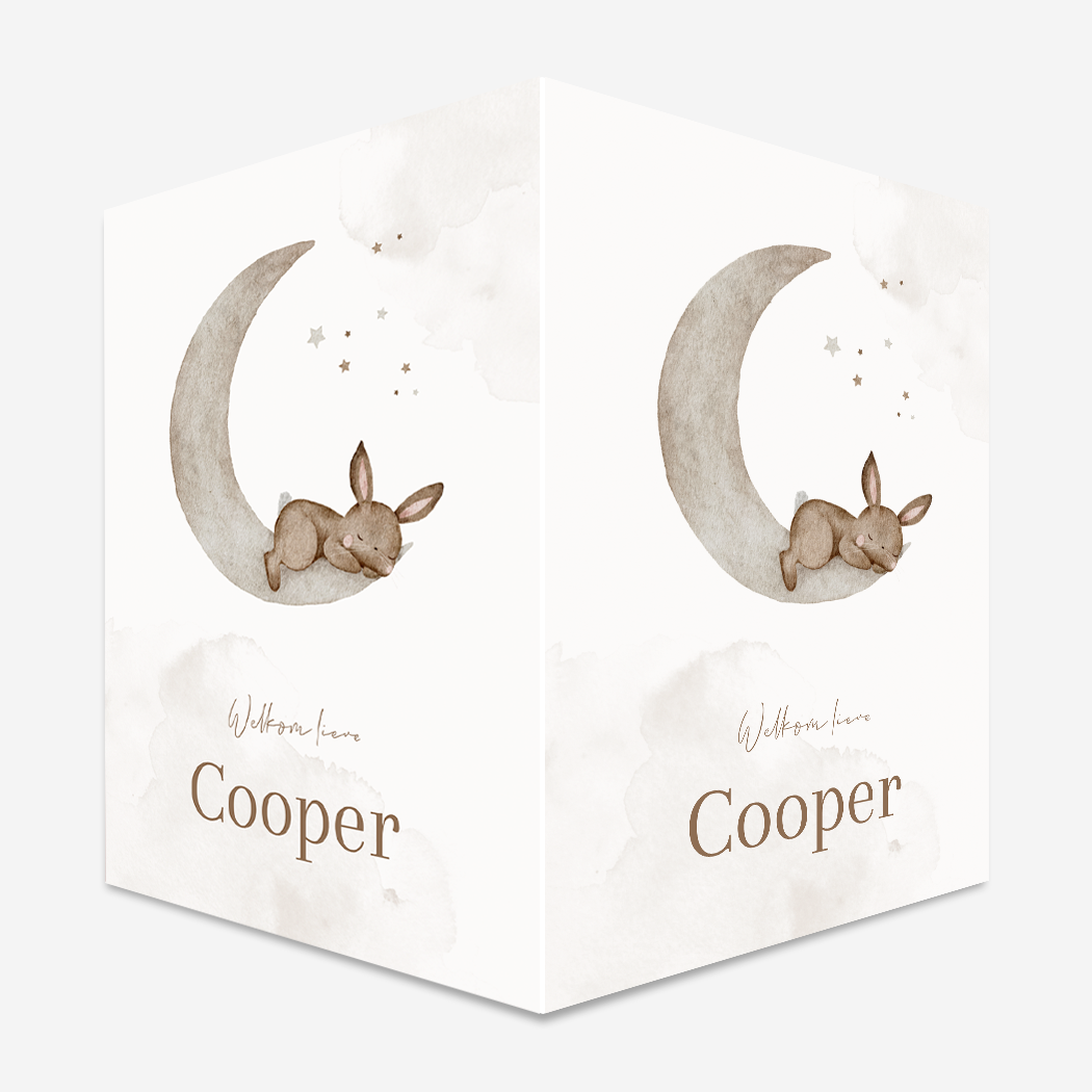 Raambord L Maan Slapend Konijntje