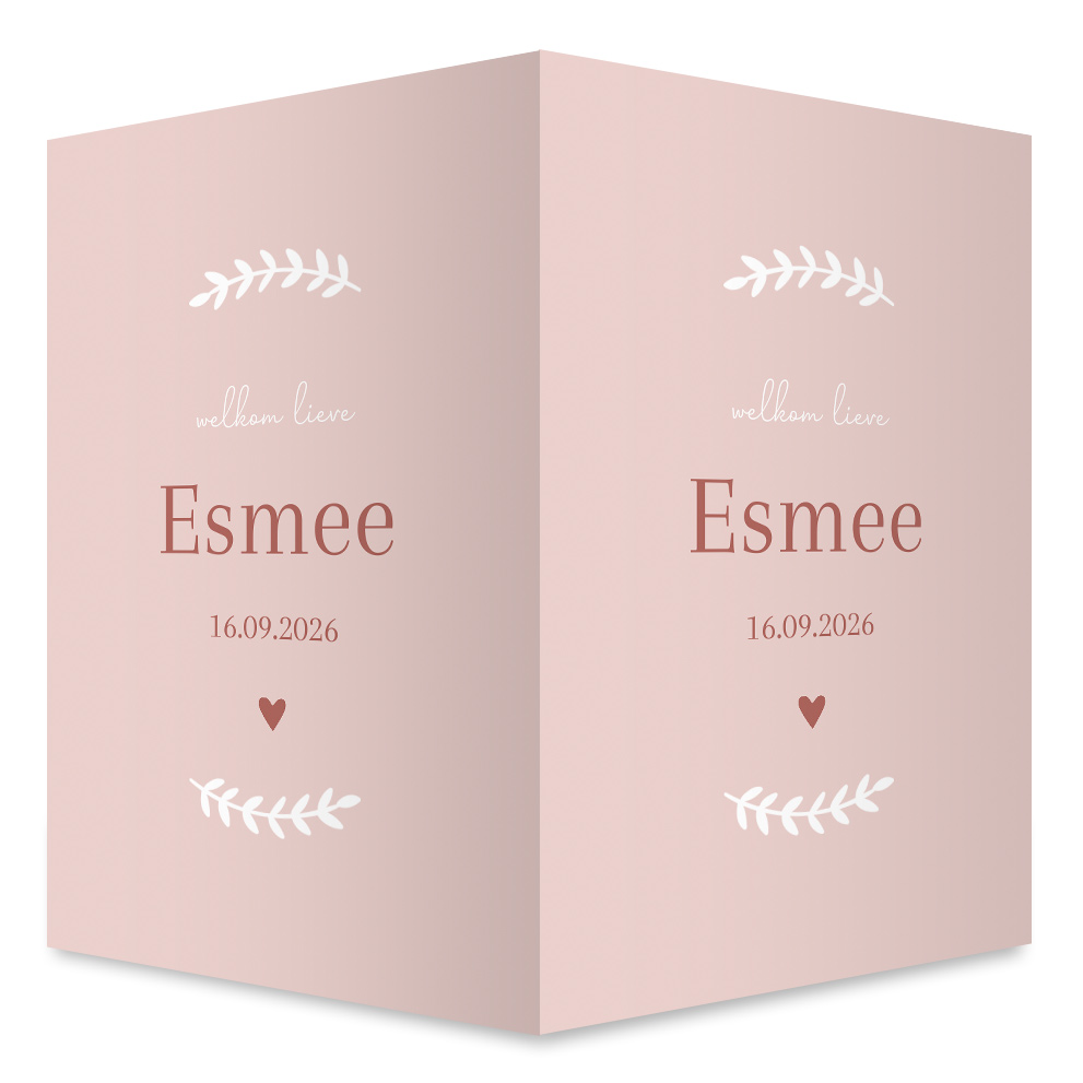 Geboortebord meisje met krans takjes