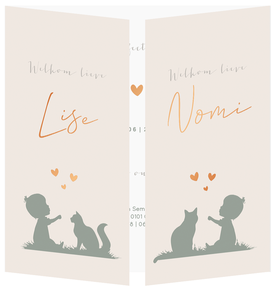 Geboortekaartje Tweeling Poesjes katten
