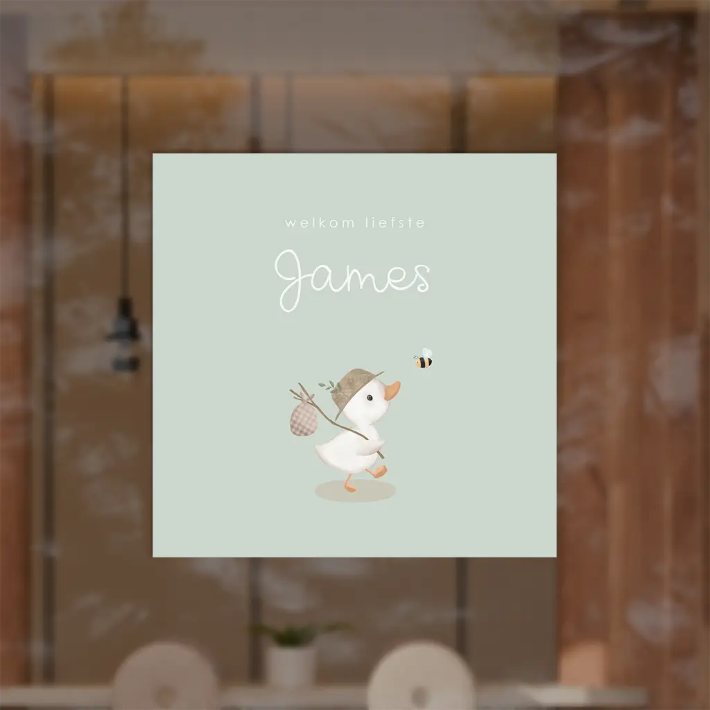Raamsticker jongen met schattig eendje en mintrgroene achtergrond