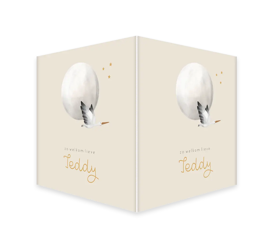 Raambord vierkant met maan, ooievaar en sterren