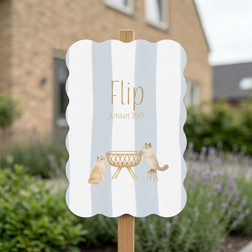 Tuinbord jongen kartelrand ragdoll katten