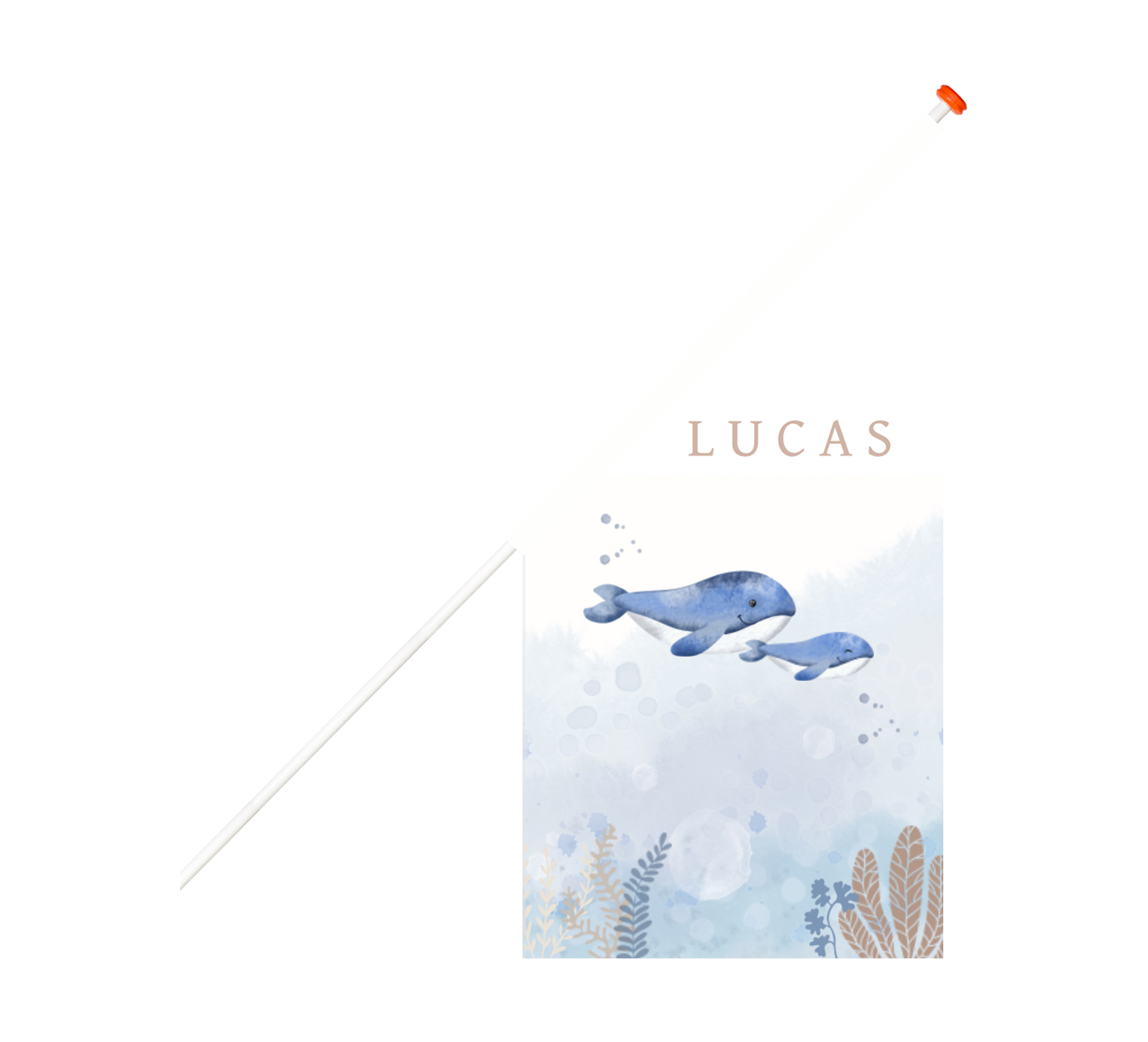 Avontuurlijke geboortevlag met onderwaterwereld en walvissen