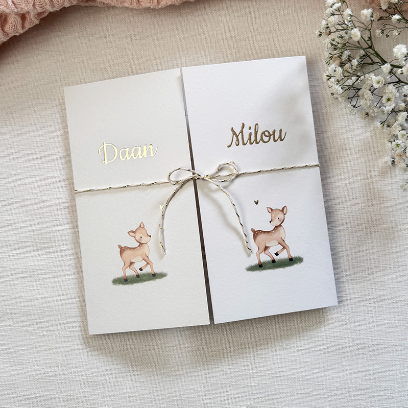 Geboortekaartje tweeling theatervouw met hertjes en goudfolie hartjes