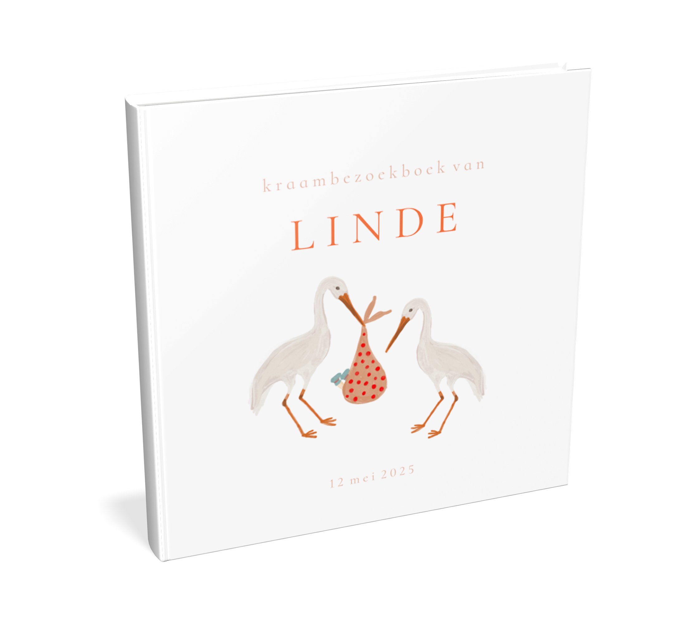 Lief kraambezoekboek met ooievaars