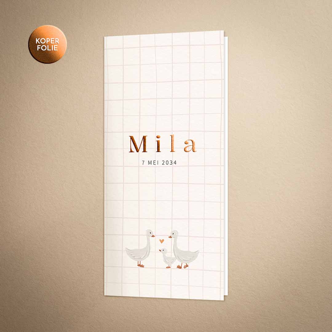 Geboortekaartje met ruitje en gansjes voor een meisje