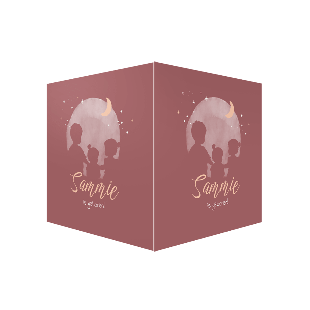 Lief raambord in roze met silhouetjes en maan