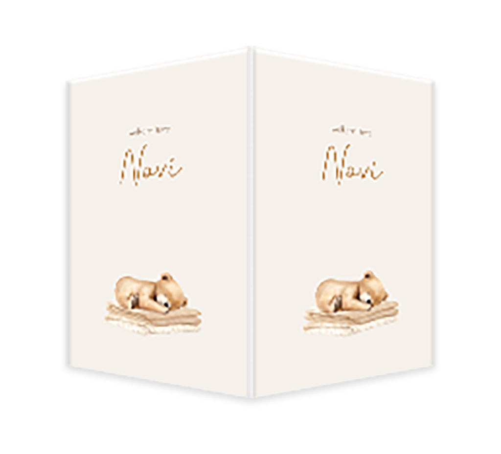 Raambord staand met slapend beertje