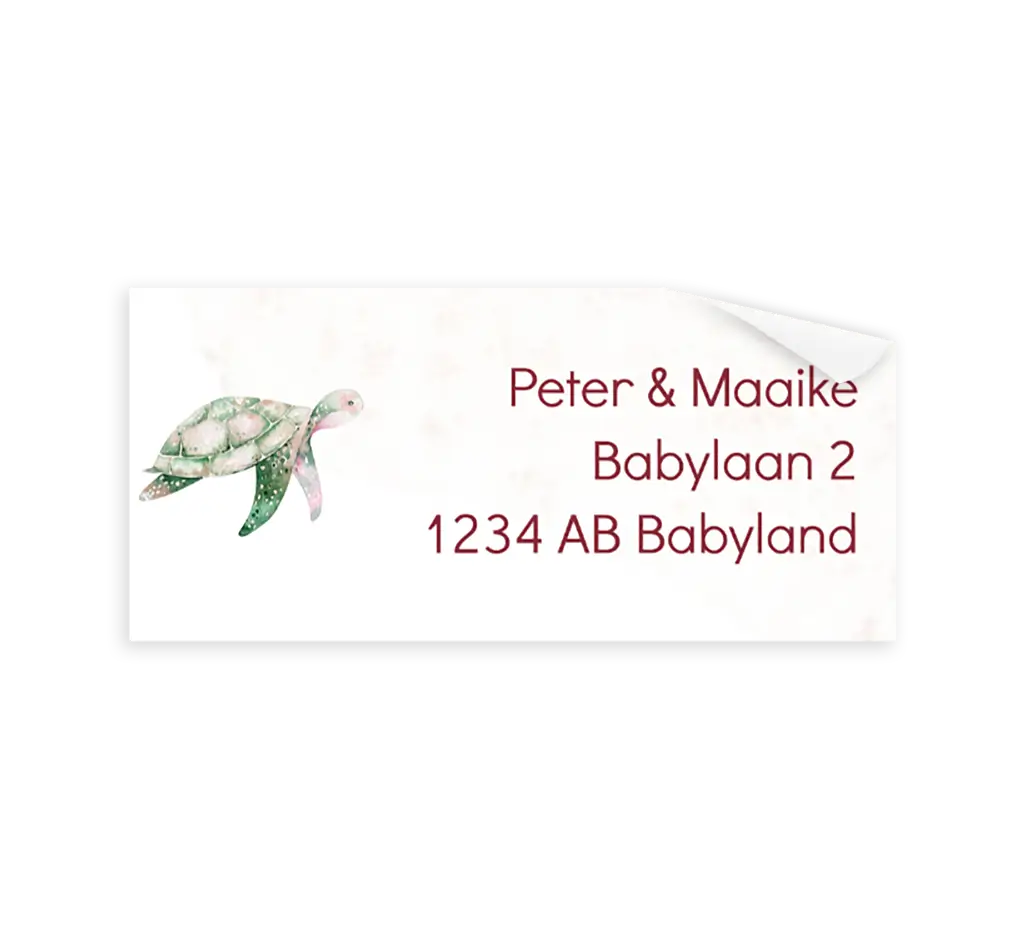 Adressticker met roze watercolour en schildpad