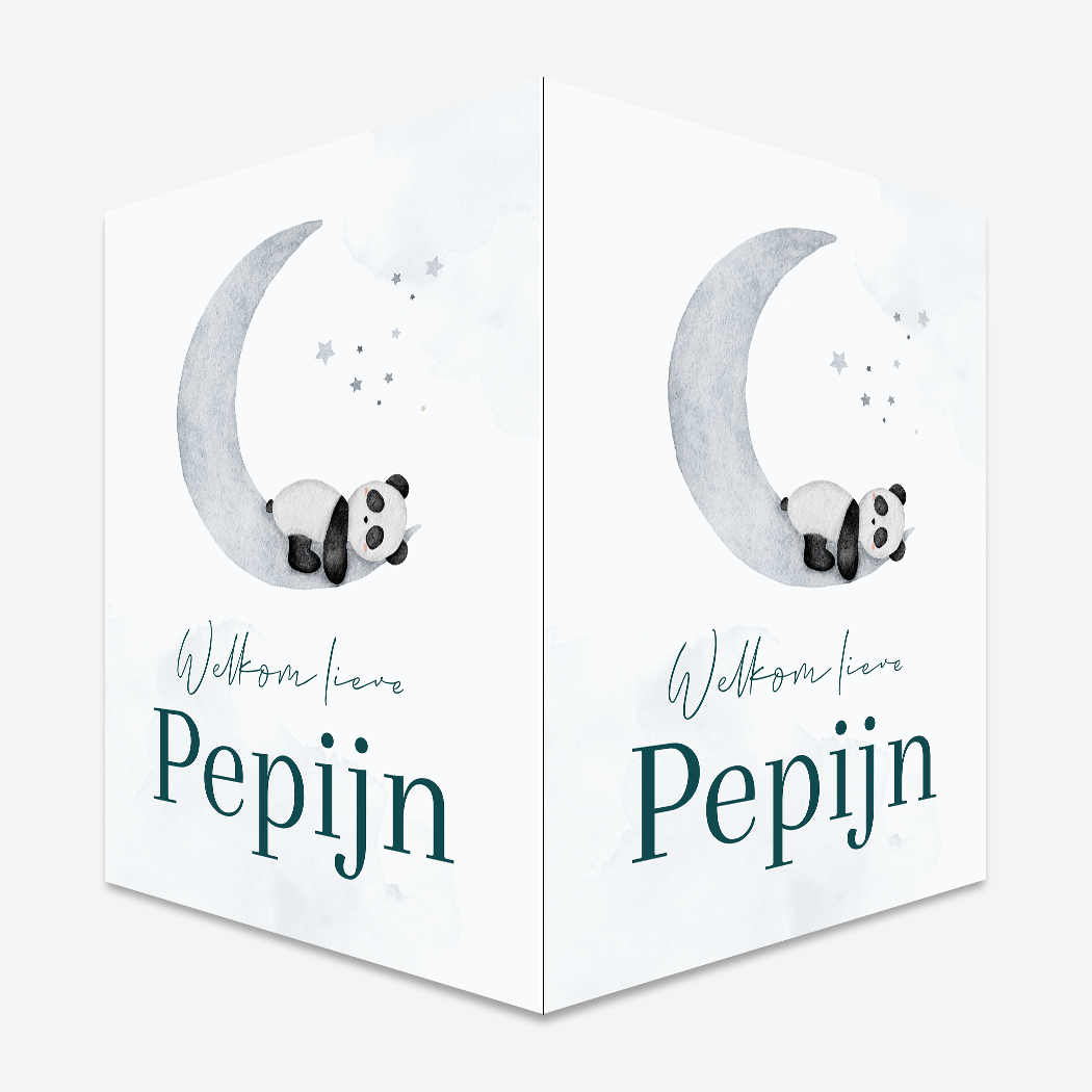 Raambord Dromerig Maantje Pandabeertje Blauw
