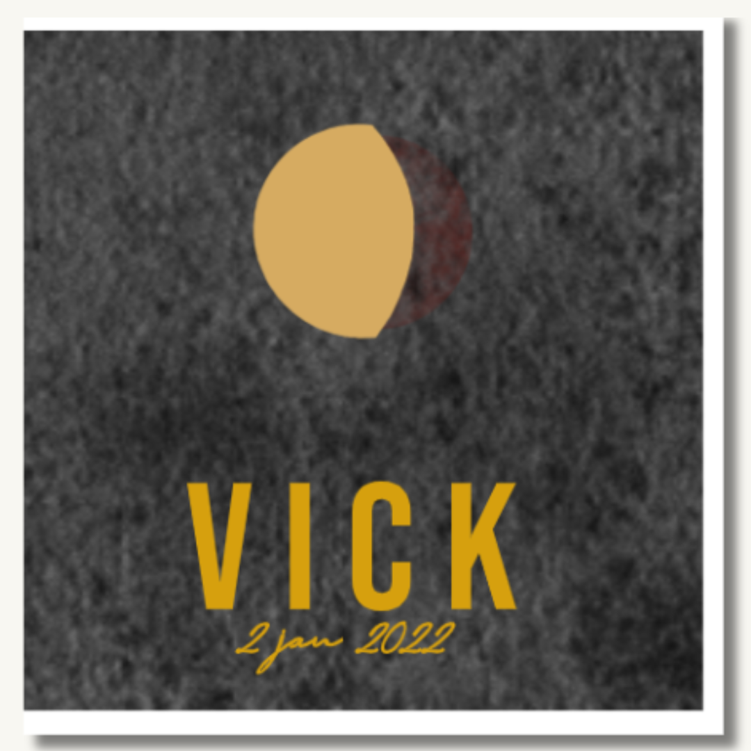 Kraambezoekboek maanstand