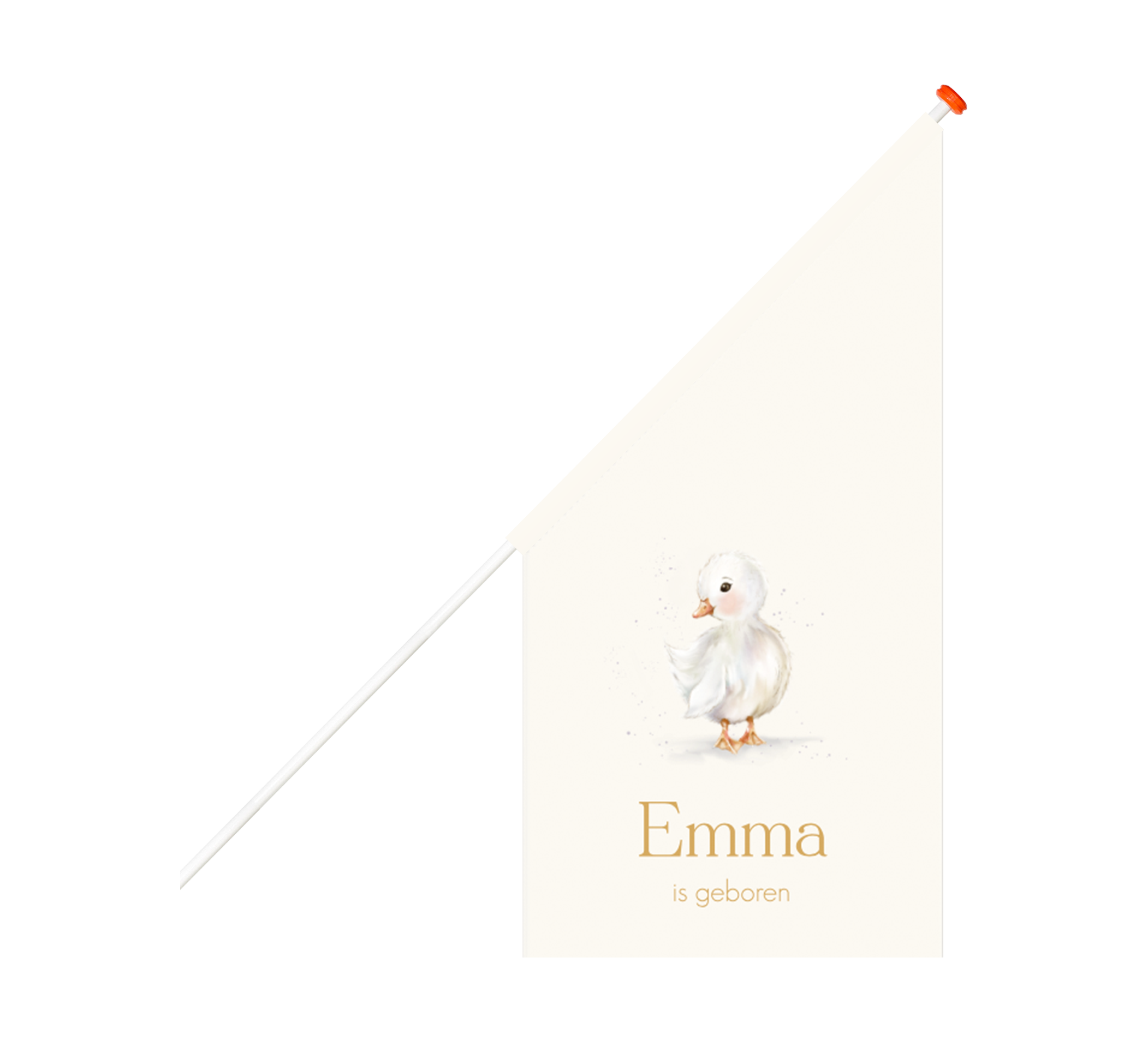 Geboortevlag met illustratie eendje