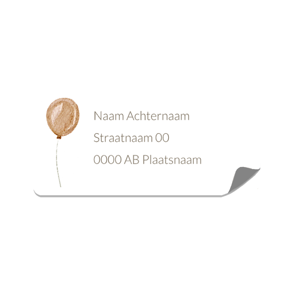 Adressticker geboorte baby oud roze ballon