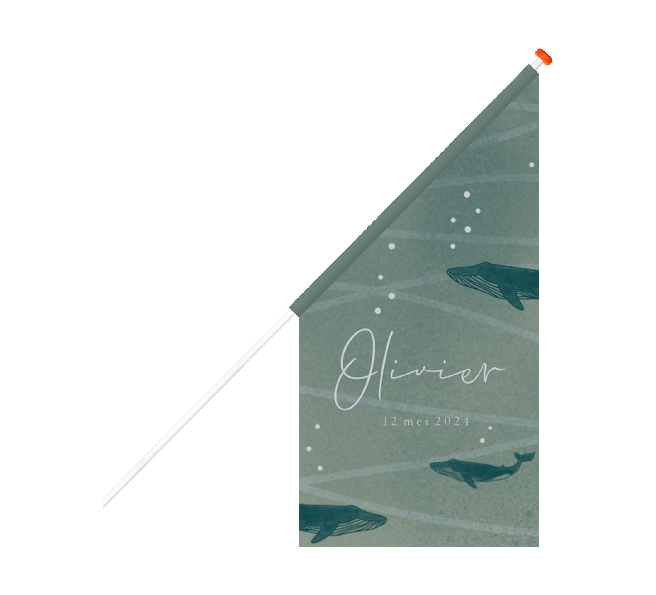 Geboortevlag met onderwaterwereld thema en walvissen