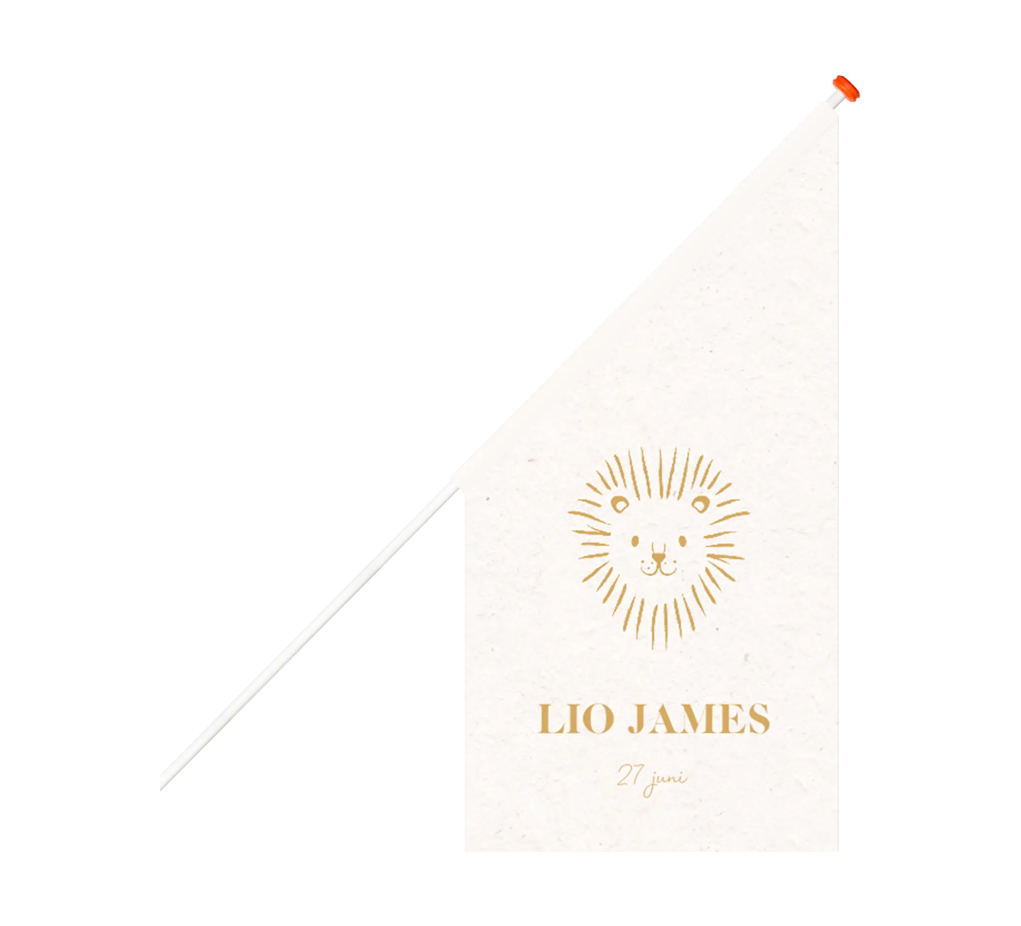 Geboortevlag met goudkleurig illustratie leeuwtje