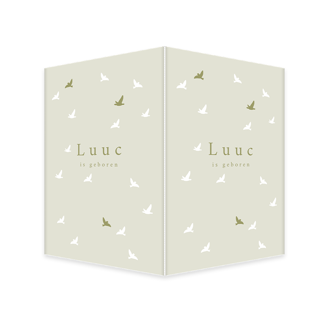 Raambord in groentinten met kleine vogeltjes