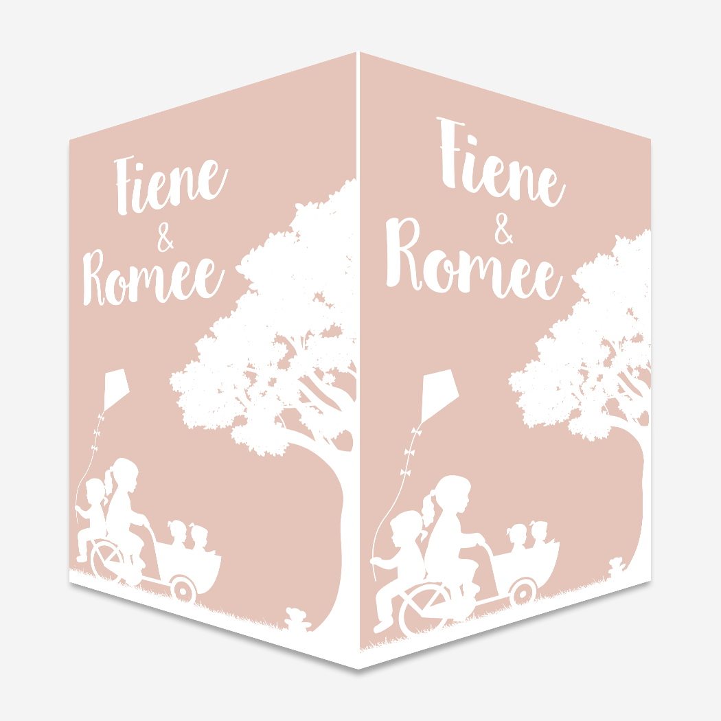 Raambord Tweeling Bakfiets Gezin Roze