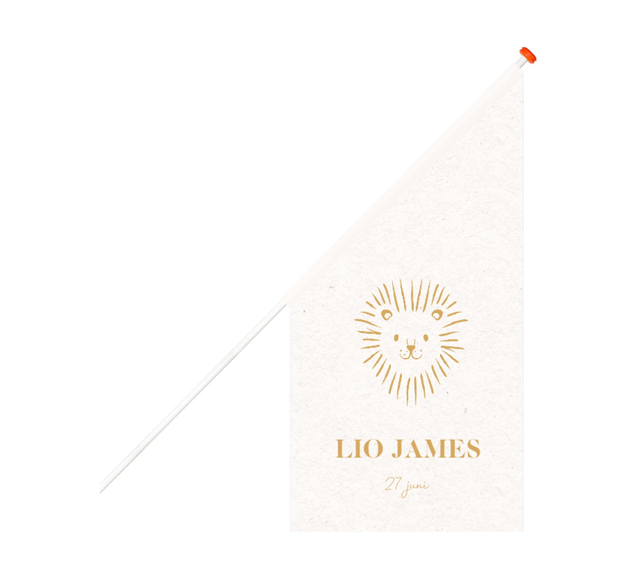 Geboortevlag met goudkleurig illustratie leeuwtje