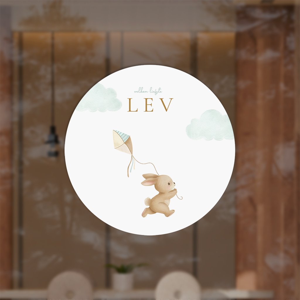 Raamsticker jongen met konijn en vlieger