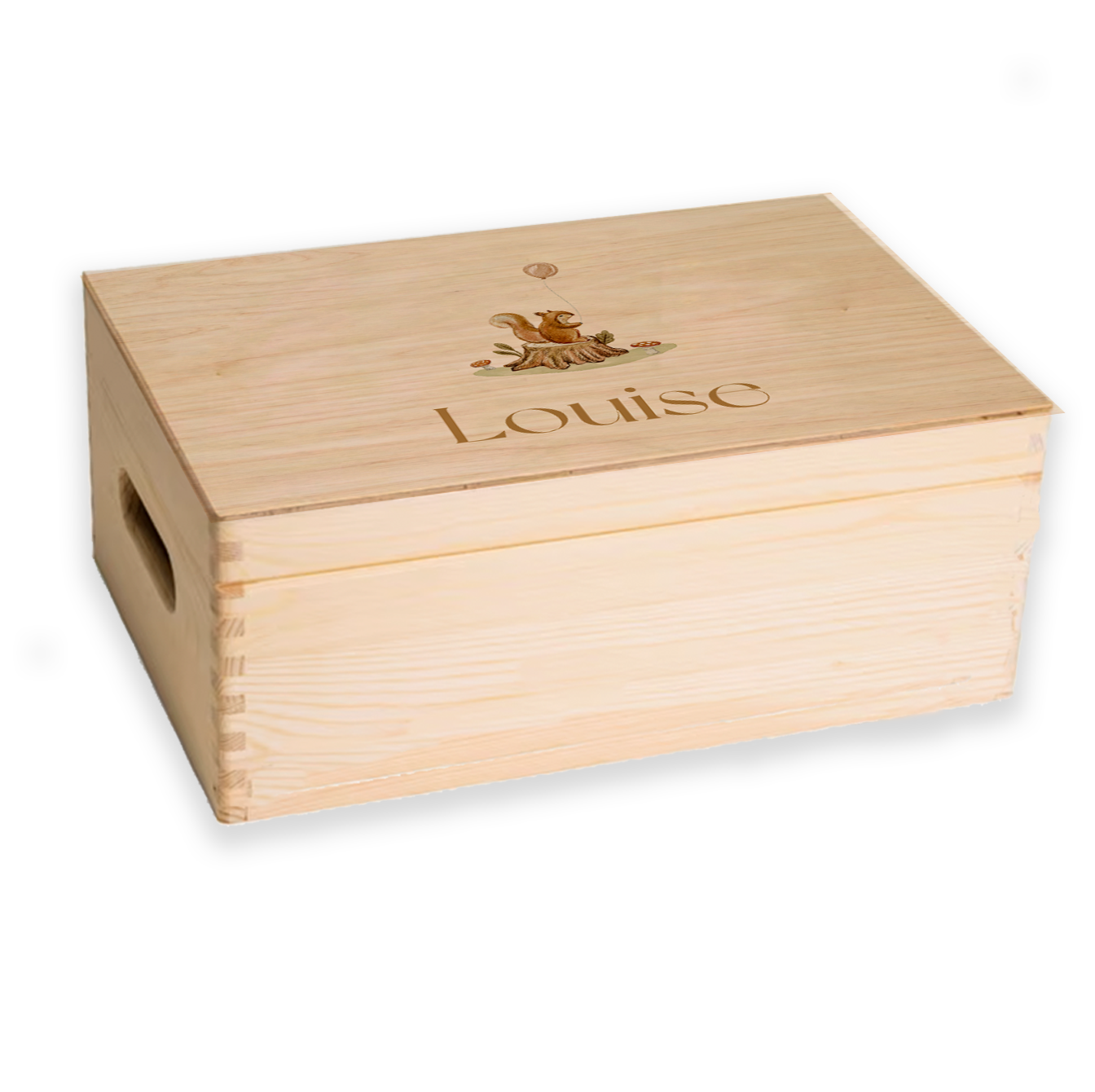 memorybox geboorte illustratie eekhoorn ballon