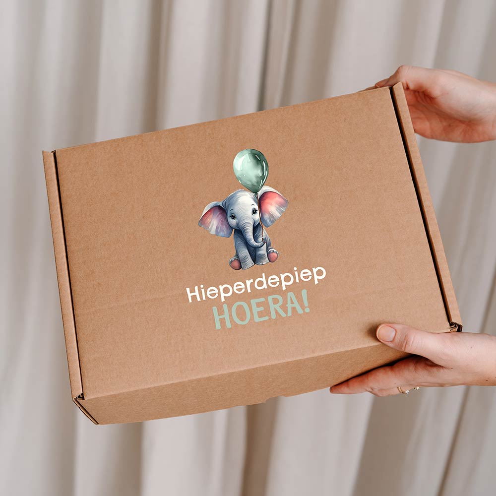 Feestelijke cadeaudoos van kraft met olifantje, ballon en tekst