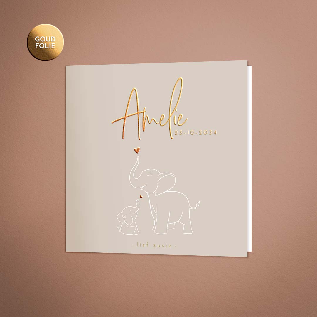 Klassiek geboortekaartje met olifantjes voor een zusje