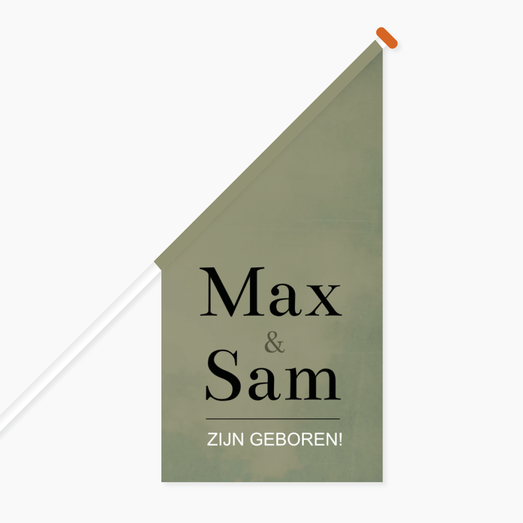 Vlag Tweeling Groen Stoer Jongens