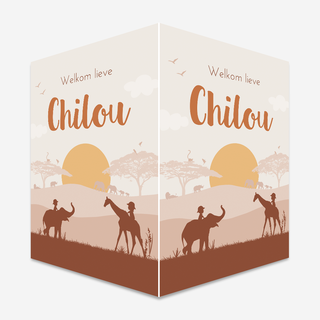 Raambord Safari Dieren Savanne Afrika