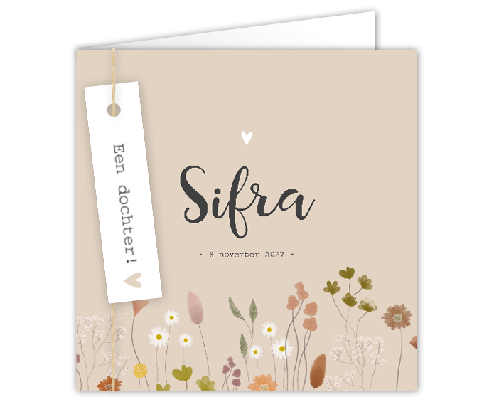 Geboortekaartje Meisje Droogbloemen Beige Roze