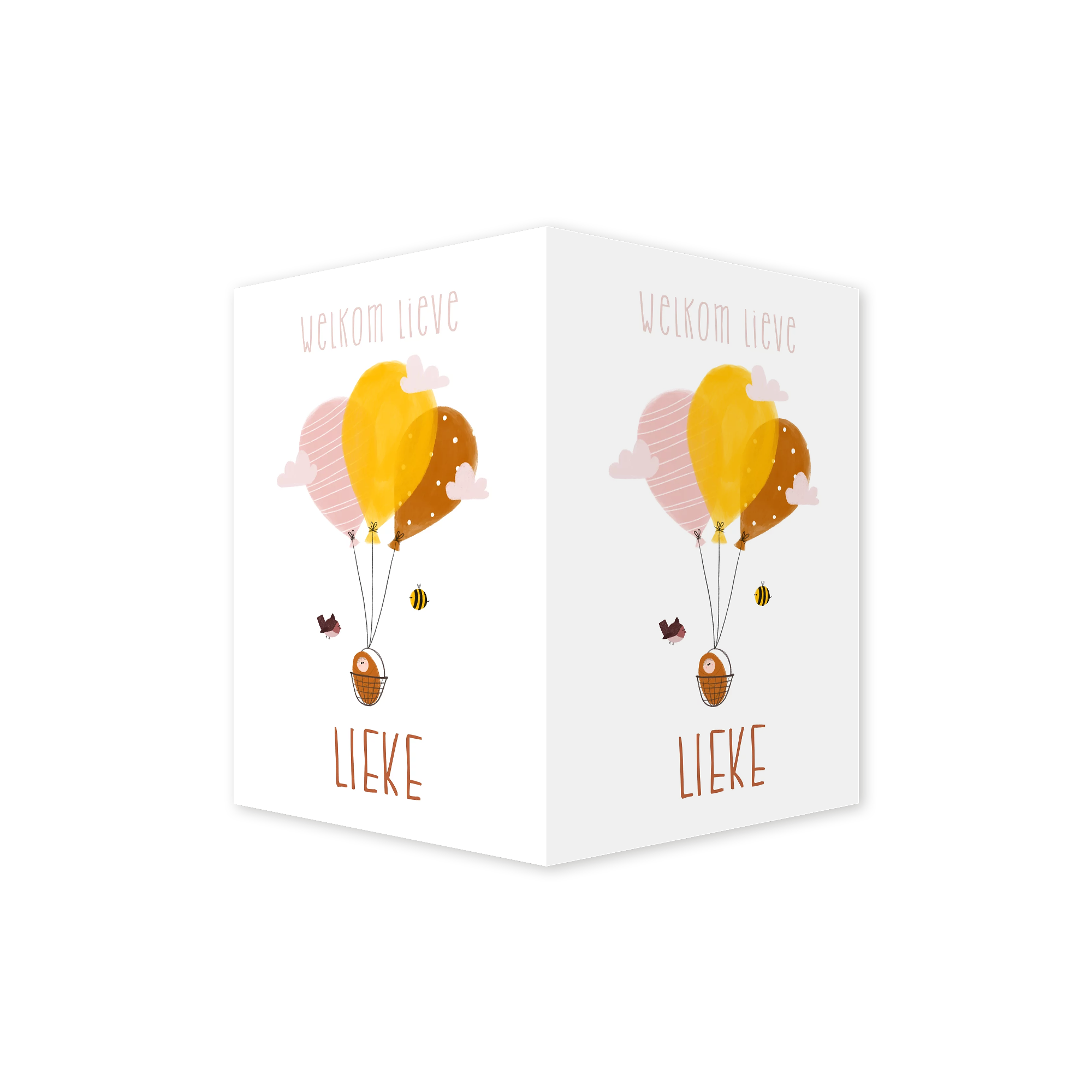 Dubbel raambord ballonnen baby