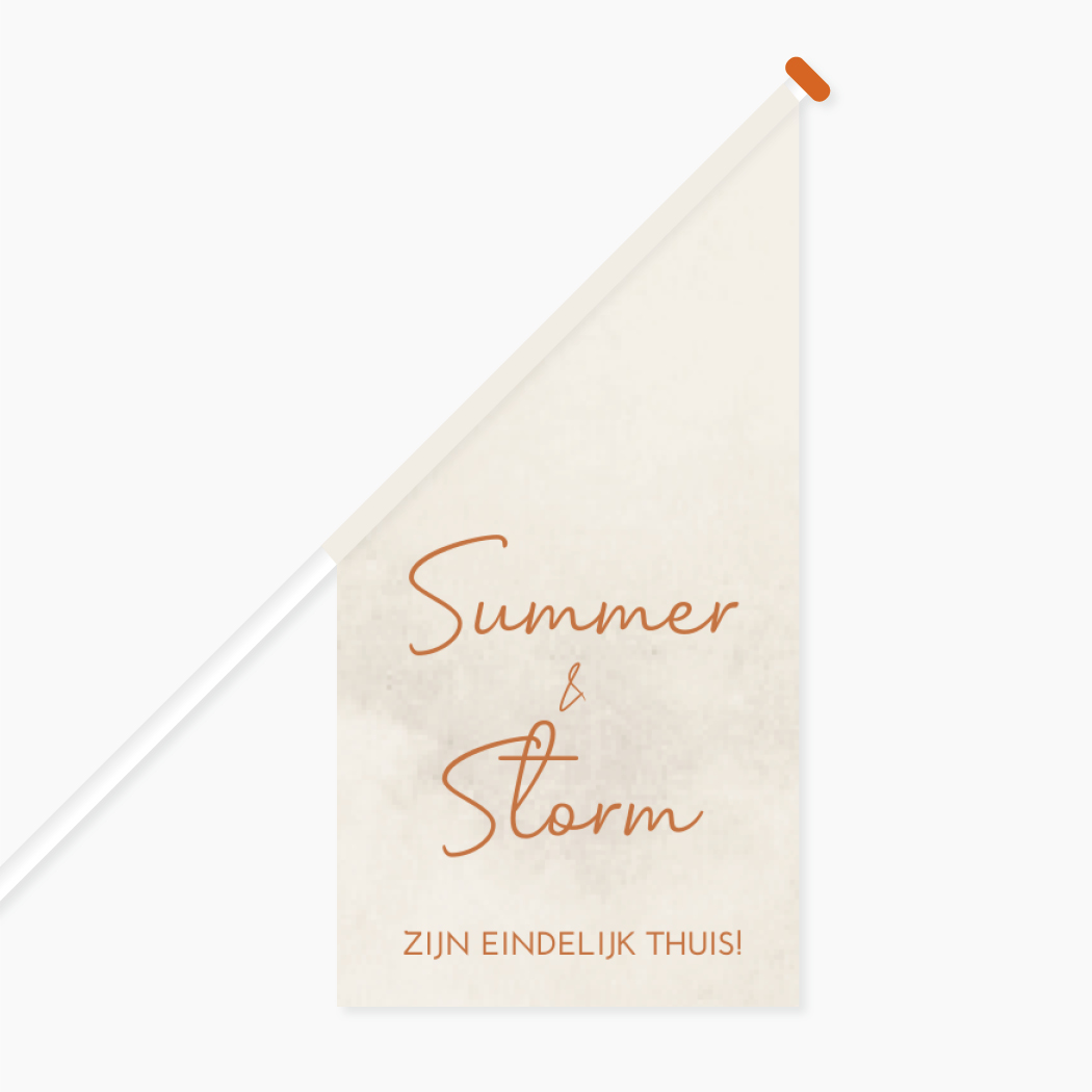 Vlag Geboorte Tweeling Ziekenhuis Welkom